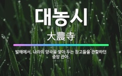 🌟대농시: 발해에서, 나라의 양곡을 쌓아 두는 창고들을 관할하던 중앙 관아. - 표준국어대사전