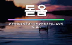 🌟돋움: 키를 돋우려고 발밑에 괴는 물건., 높아지도록 밑을 괴는 물건. - 표준국어대사전