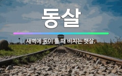 🌟동살: 새벽에 동이 틀 때 비치는 햇살. - 표준국어대사전