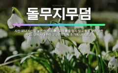 🌟돌무지무덤: 시신 위나 시신을 넣은 석곽(石槨) 위에 흙을 덮지 않고 돌을 쌓아 올린 무덤. 선사 시대부... - 표준국어대사전