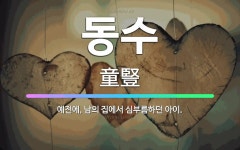 🌟동수: 예전에, 남의 집에서 심부름하던 아이. - 표준국어대사전