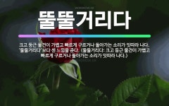 🌟뚤뚤거리다: 크고 둥근 물건이 가볍고 빠르게 구르거나 돌아가는 소리가 잇따라 나다. ‘둘둘거리다’보다 센... - 표준국어대사전