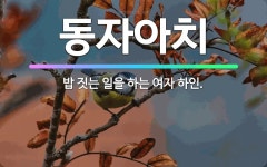 🌟동자아치: 밥 짓는 일을 하는 여자 하인. - 표준국어대사전