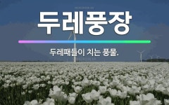 🌟두레풍장: 두레패들이 치는 풍물. - 표준국어대사전