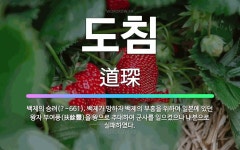 🌟도침: 백제의 승려(?~661). 백제가 망하자 백제의 부흥을 위하여 일본에 있던 왕자 부여풍(扶餘豐)을... - 표준국어대사전