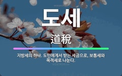 🌟도세: 지방세의 하나. 도민에게서 받는 세금으로, 보통세와 목적세로 나눈다. - 표준국어대사전