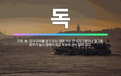 🌟독: 간장, 술, 김치 따위를 담가 두는 데에 쓰는 큰 오지그릇이나 질그릇. 운두가 높고 중배가 조금 부... - 표준국어대사전