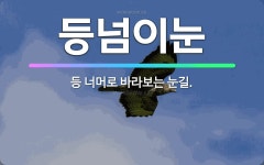 🌟등넘이눈: 등 너머로 바라보는 눈길. - 표준국어대사전
