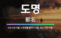 🌟도명: 전체를 몰아서 부름. 또는 그런 이름., 도시의 이름. - 표준국어대사전