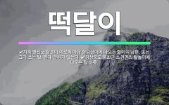 🌟떡달이: 경상북도 봉화군 소천면의 탈놀이에 나오는 탈 이름., 하회 별신굿 탈놀이 여섯째 마당 살림살이에... - 표준국어대사전
