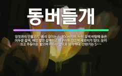 🌟동버들개: 잉엇과의 민물고기. 몸의 길이는 6~10cm이며, 누런 갈색 바탕에 등은 어두운 갈색, 배는 ... - 표준국어대사전