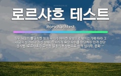 🌟로르샤흐 테스트: 좌우 대칭의 불규칙한 잉크 무늬가 어떠한 모양으로 보이는가에 따라 그 사람의 성격이나 ... - 표준국어대사전