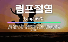🌟림프절염: ‘림프샘염’의 전 용어. (림프샘염: 세균이나 독소의 침입으로 림프샘에 생기는 염증. 목, 사... - 표준국어대사전