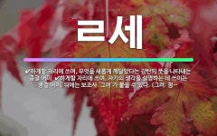 🌟ㄹ세: 하게할 자리에 쓰여, 자기의 생각을 설명하는 데 쓰이는 종결 어미. 뒤에는 보조사 ‘그려’가 붙을... - 표준국어대사전