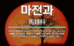 🌟마전과: 쌍떡잎식물 통꽃류 용담목의 한 과. 잎은 마주나는 것이 많고, 꽃은 취산(聚繖) 화서로 피며, ... - 표준국어대사전