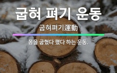 🌟굽혀 펴기 운동: 몸을 굽혔다 폈다 하는 운동. - 표준국어대사전