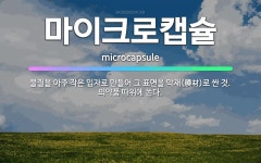 🌟마이크로캡슐: 물질을 아주 작은 입자로 만들어 그 표면을 막재(膜材)로 싼 것. 의약품 따위에 쓴다. - 표준국어대사전
