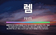 🌟렘: 생물학적으로 인체에 영향을 미치는 방사선의 양을 나타내는 단위. 1렘은 여러 종류의 방사선이 인체에... - 표준국어대사전