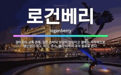 🌟로건베리: 장미과의 상록 관목. 잎은 손바닥 모양의 겹잎이고 열매는 자적색으로 생산성이 크다. 파이, 주... - 표준국어대사전