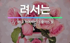 🌟려서는: ‘-려고 하여서는’이 줄어든 말. - 표준국어대사전
