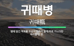🌟귀때병: 병에 담긴 액체를 조금씩 따르기 좋게 따로 가느다란 부리를 낸 병. - 표준국어대사전