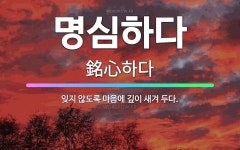 🌟명심하다: 잊지 않도록 마음에 깊이 새겨 두다. - 표준국어대사전