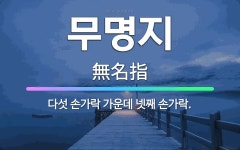 🌟무명지: 다섯 손가락 가운데 넷째 손가락. - 표준국어대사전
