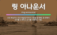 🌟링 아나운서: 프로 복싱이나 프로 레슬링 따위의 시합을 할 때에, 링 위에서 선수를 소개하고 순서를 진행... - 표준국어대사전