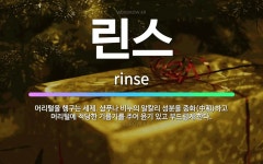 🌟린스: 머리털을 헹구는 세제. 샴푸나 비누의 알칼리 성분을 중화(中和)하고 머리털에 적당한 기름기를 주어... - 표준국어대사전