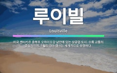 🌟루이빌: 미국 켄터키주 중북부 오하이오강 남안에 있는 상공업 도시. 수륙 교통의 중심지이며, 5월의 경마... - 표준국어대사전