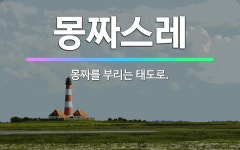 🌟몽짜스레: 몽짜를 부리는 태도로. - 표준국어대사전