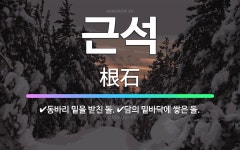🌟근석: 동바리 밑을 받친 돌., 담의 밑바닥에 쌓은 돌. - 표준국어대사전