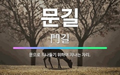 🌟문길: 문으로 드나들기 위하여 지나는 자리. - 표준국어대사전