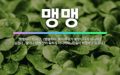 🌟맹맹: ‘맹맹하다’의 어근. (맹맹하다: 음식 따위가 제맛이 나지 아니하고 싱겁다., 술이나 담배 맛이 ... - 표준국어대사전