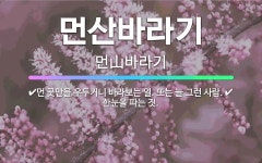 🌟먼산바라기: 한눈을 파는 짓., 먼 곳만을 우두커니 바라보는 일. 또는 늘 그런 사람. - 표준국어대사전