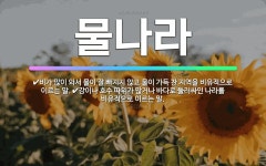 🌟물나라: 비가 많이 와서 물이 잘 빠지지 않고 물이 가득 찬 지역을 비유적으로 이르는 말., 강이나 호수... - 표준국어대사전