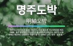 🌟명주도박: ‘명주지누아리’의 전 용어. (명주지누아리: 홍조류 지누아릿과의 해조(海藻). 몸은 엽상체로 ... - 표준국어대사전
