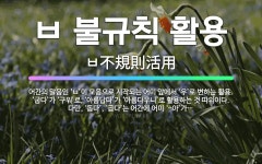 🌟ㅂ 불규칙 활용: 어간의 말음인 ‘ㅂ’이 모음으로 시작되는 어미 앞에서 ‘우’로 변하는 활용. ‘굽다’가... - 표준국어대사전
