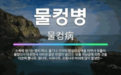 🌟물컹병: 수목에 생기는 병의 하나. 줄기나 가지의 껍질이 갈색을 띠면서 부풀어 올랐다가 마르면서 사마귀 ... - 표준국어대사전