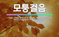🌟모퉁걸음: → 게걸음. (게걸음: 게처럼 옆으로 걷는 걸음., 봉산 탈춤 따위에서, 발을 떼지 않고 무릎... - 표준국어대사전