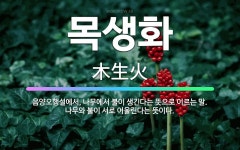 🌟목생화: 음양오행설에서, 나무에서 불이 생긴다는 뜻으로 이르는 말. 나무와 불이 서로 어울린다는 뜻이다. - 표준국어대사전