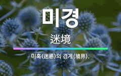 🌟미경: 미혹(迷惑)의 경계(境界). - 표준국어대사전