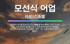 🌟모선식 어업: 원양에서 모선을 중심으로 선단(船團)을 짜서 행하는 어업. 모선은 냉동ㆍ가공 따위의 설비를... - 표준국어대사전