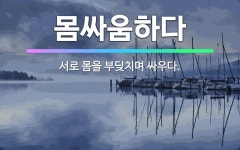 🌟몸싸움하다: 서로 몸을 부딪치며 싸우다. - 표준국어대사전