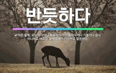 🌟반듯하다: 생김새가 아담하고 말끔하다., 작은 물체, 또는 생각이나 행동 따위가 비뚤어지거나 기울거나 굽... - 표준국어대사전