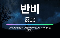 🌟반비: 한 비(比)의 전항과 후항을 바꾸어 놓은 비. a:b의 반비는 b:a이다. - 표준국어대사전