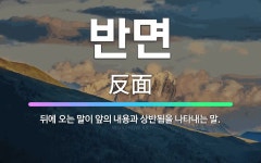 🌟반면: 뒤에 오는 말이 앞의 내용과 상반됨을 나타내는 말. - 표준국어대사전