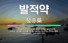 🌟발적약: 피부나 점막을 자극하여 가벼운 충혈과 발적을 일으키는 약. 타박상ㆍ신경통ㆍ근육통 따위를 치료하는... - 표준국어대사전