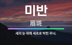 🌟미반: 새의 눈 위에 세로로 박힌 무늬. - 표준국어대사전