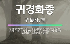 🌟귀경화증: 속귀를 둘러싼 뼈의 이상으로 난청, 귀울림 따위의 증상이 생기는 병. 유전이나 내분비 장애, ... - 표준국어대사전